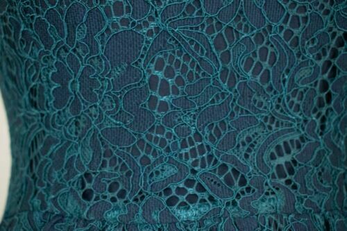 Lindy Bop Demi Navy Green Lace Vintage 1950s Flared Swing Dress