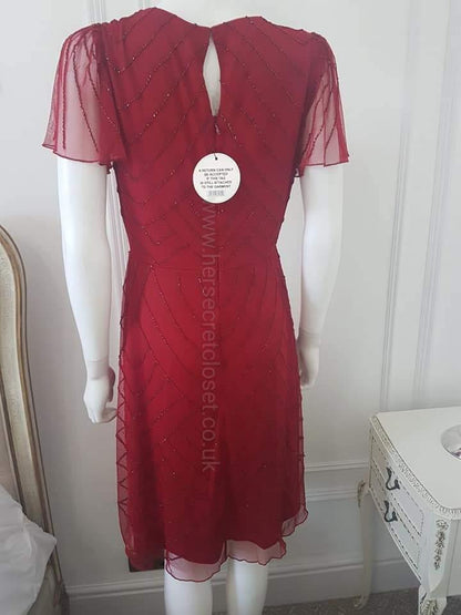 Rochelle Scarlet Beaded Evening Dress From Lindy Bop's Premium "Silver Collection" - HerSecretCloset.co.uk