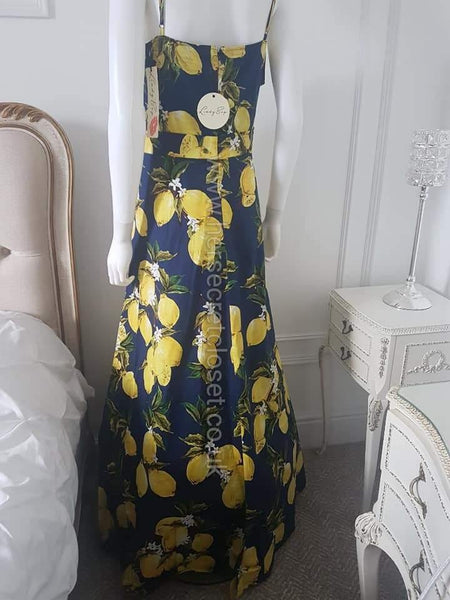 Lindy Bop Ruby Navy Lemons Maxi Dress - HerSecretCloset.co.uk